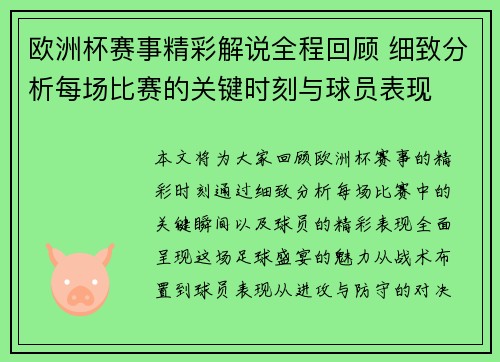 欧洲杯赛事精彩解说全程回顾 细致分析每场比赛的关键时刻与球员表现